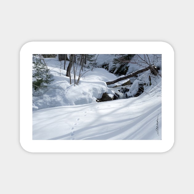 Snowprints Magnet by srwdesign