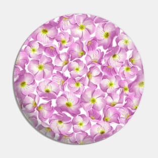 Pink evening primrose floral pattern Pin