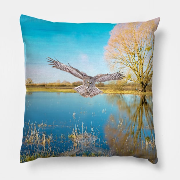 Great Gray Owl in the Blue Pillow by lauradyoung