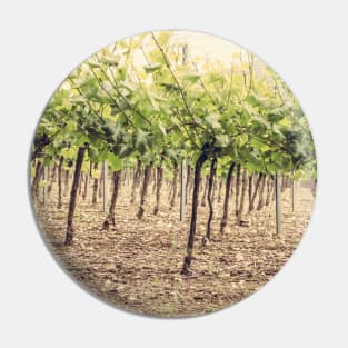 Vineyard Pin