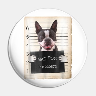 Boston Terrier Bad Dog Pin