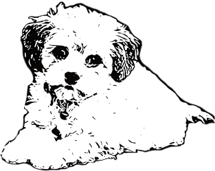 Maltipoo Face Design - A Moodle Christmas Gift Magnet