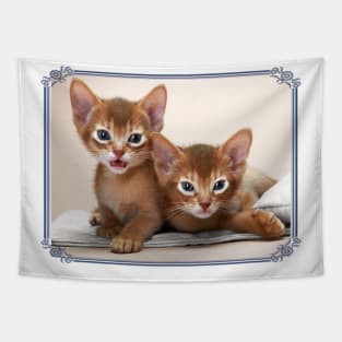 Abyssinian Cat T Shirt Tapestry