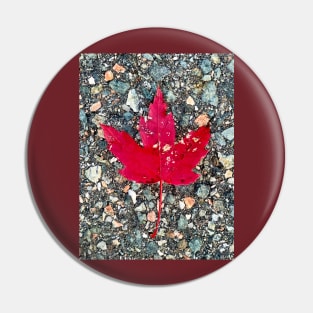 Red Maple Leaf Pin