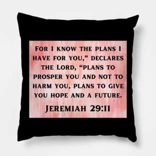 Bible Verse Jeremiah 29:11 Pillow