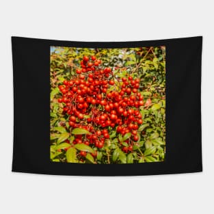 Berries Tapestry