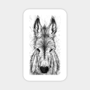 DONKEY pencil portrait .1 Magnet