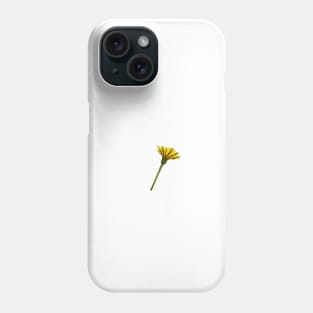 Dandelion flower underside selective focus isolated on white Phone Case