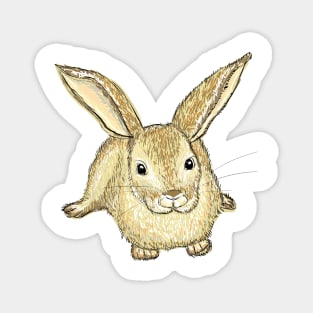 Rabbit Magnet