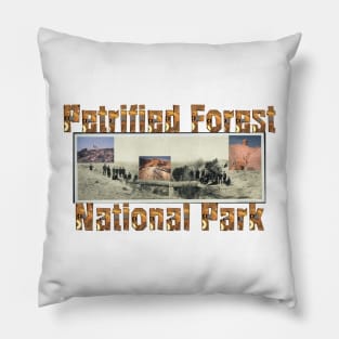 Petrified Forest Pillow