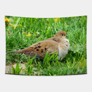 Mourning Dove Resting In The Grass Tapestry