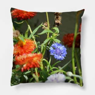 Flowers for someone you love! Pillow