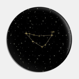 Capricorn Star Constellation Pin