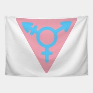 Pride Flag Color Variant of Nangeroni Trans Community Symbol Tapestry