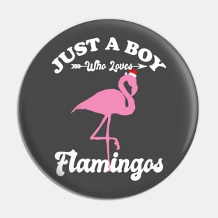 Just a Boy Who Loves Flamingos Pin