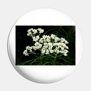 Shiny Dogwood Pin