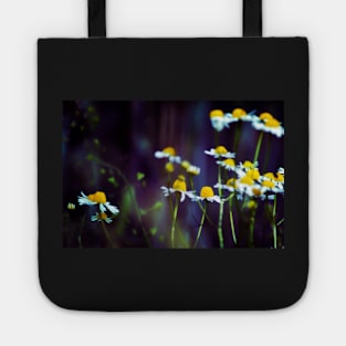 Shine on Dark Days Tote