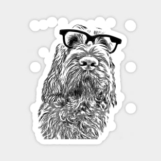 Intelligent friend Spinone Magnet