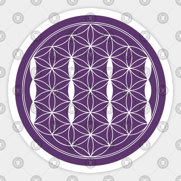 Flower Of Life 11 11 Sacred Geometry