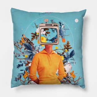 Don't Feed the Monitors with your Dreams Pillow