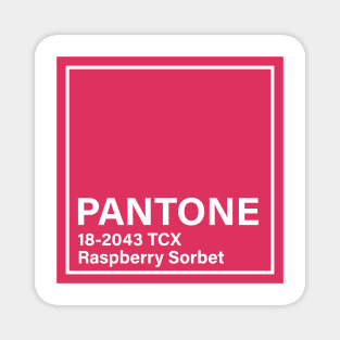 pantone 18-2043 TCX Raspberry Sorbet Magnet