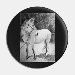 Horse  by Adelaide Artist Avril Thomas Pin