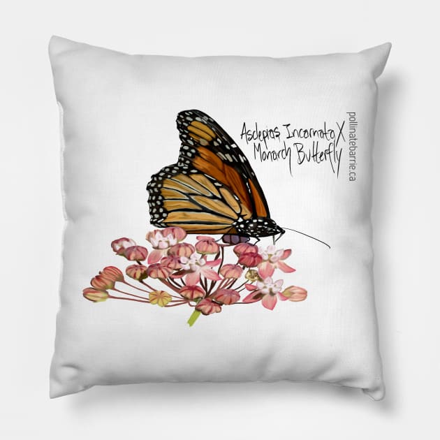 Monarch x Asclepias Pillow by PollinateBarrie