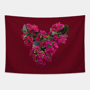 Kalanchoe - Kalanchoe Heart Tapestry