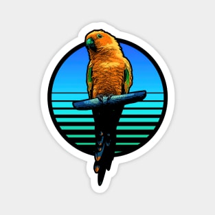 80s Retro Sun Conure Magnet