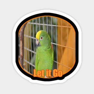 Caged animals Freedom Parrot Magnet