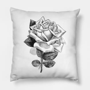 Rose Flower Black and White Illustration Pillow