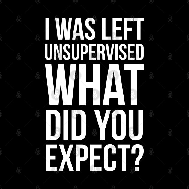 I Was Left Unsupervised What Did You Expect? by evokearo