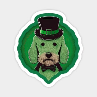 Poodle St. Patrick's day Magnet