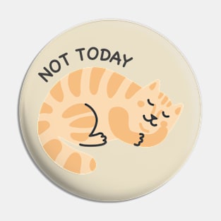 Not Today Cat Not Today Cat Pin