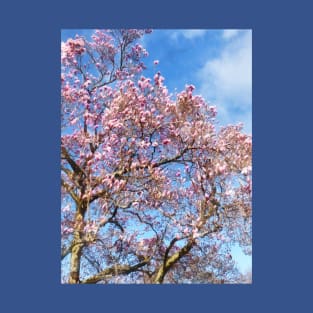 Spring - Magnolia Against the Sky T-Shirt