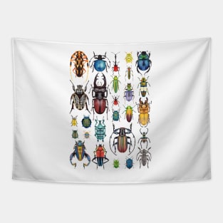 Beetle Collection Tapestry