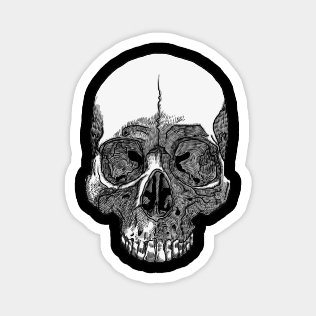 Black And White Amazing Skull Magnet by Alsabe3