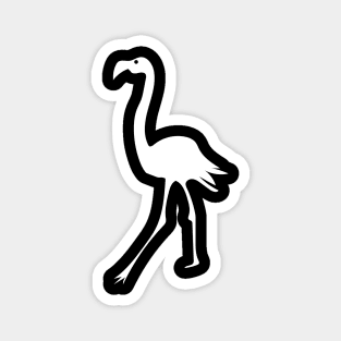 Flamingos flamingo Magnet