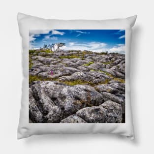 Limestone Pavement Pillow