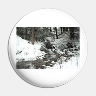 Winter Stream Pin