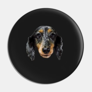 Dachshund Black Silver Dapple Puppy Dog Pin