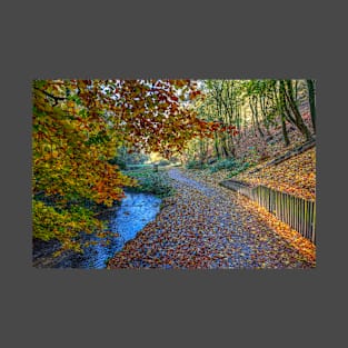 Hubbards Hills, Louth, Lincolnshire, Autumn Leaves T-Shirt