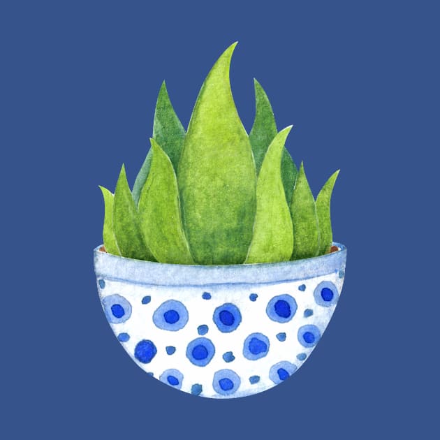 aloe vera plant by shoko