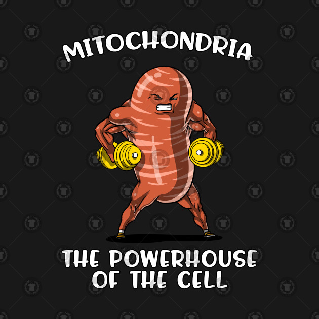 Funny Biology Science Mitochondria Joke - Biology Funny - T-Shirt | TeePublic
