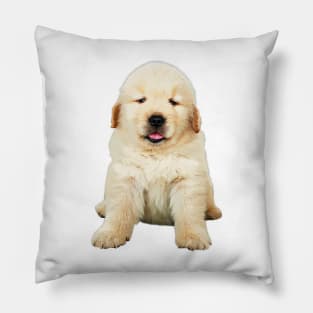 Precious Golden Retriever Puppy Pillow