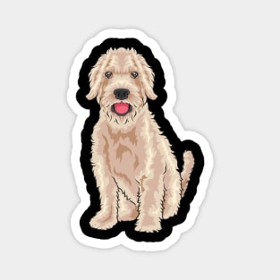 A super cute Goldendoodle looks at you. Magnet