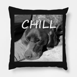 Chill Pillow