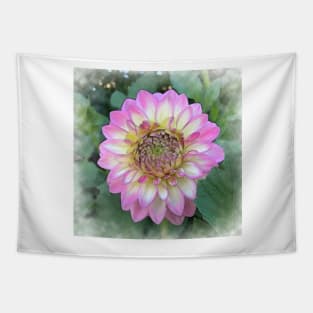 Dahlia Bloom Of Soft Bright Pink, Yellow And White Tapestry