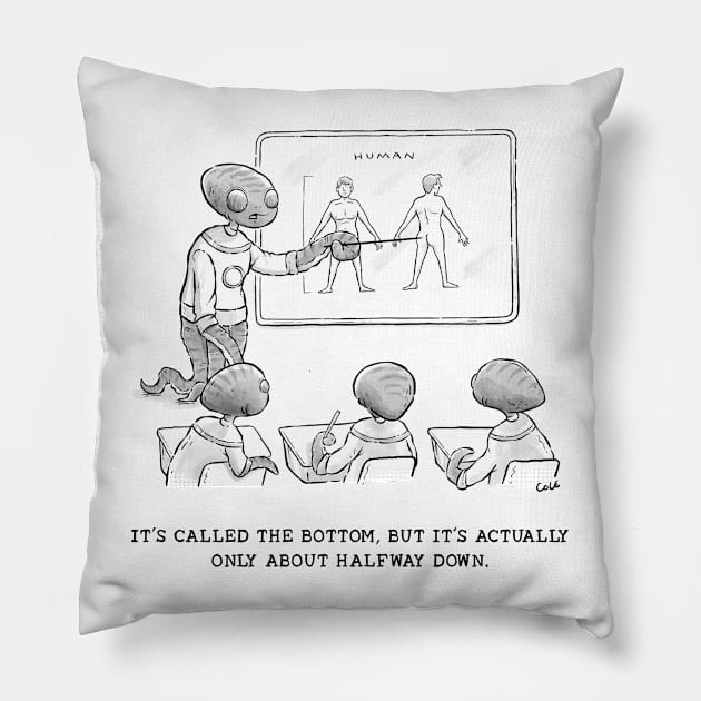 Alien Class Pillow by Tyson Cole