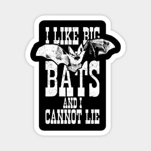 I LIKE BIG BATS AND I CANNOT LIE Magnet